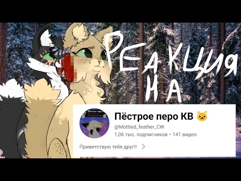 Видео: Реакция на @Пёстрое_перо_КВ_пестри |•| Лучше? |•| Целитель с сиреневыми Глазами? |•|