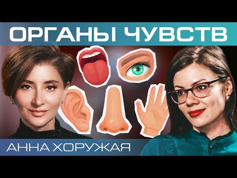 Видео: Вкус и запах – двигатели развития цивилизации. Анна Хоружая