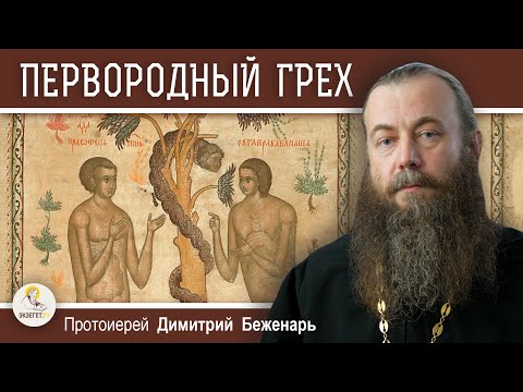 Видео: СУЩНОСТЬ ПЕРВОРОДНОГО ГРЕХА. Протоиерей Димитрий Беженарь