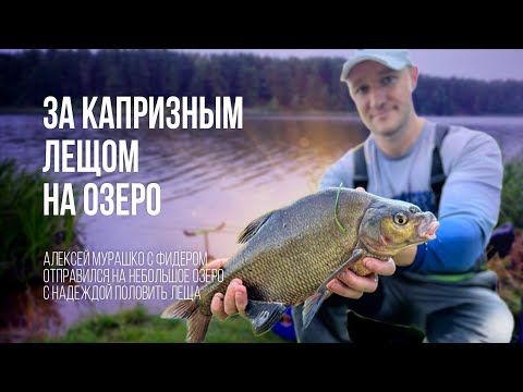Видео: Рыбалка на леща. Ловля леща летом на водохранилище на фидер