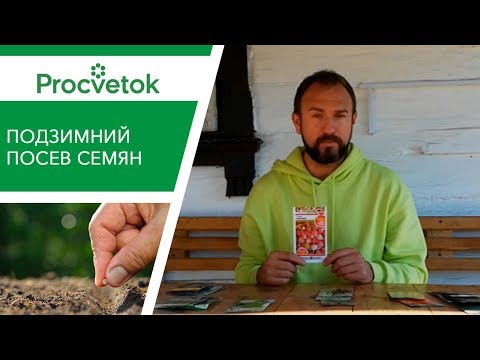 Видео: ПОДЗИМНИЙ ПОСЕВ: что посеять и когда? Урожай обеспечен!