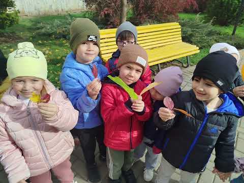 Видео: Экскурсия в осенний городской парк 