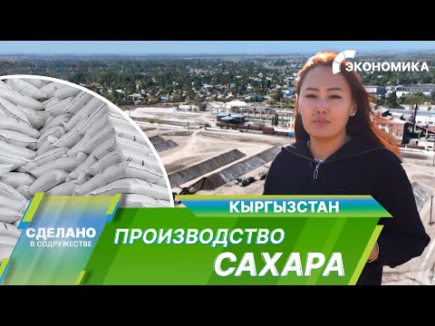 Видео: Сладкое производство в Кыргызстане. Как из свеклы получают сахар?