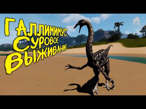 Видео: СОЛО СУРОВОЕ ВЫЖИВАНИЕ ЗА ГАЛЛИМИМУСА | THE ISLE EVRIMA #theisle #theisleevrima