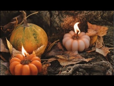 Видео: Виктория Романовна в прямом эфире!ИНФОРМАЦИЯ С ПОТОКА🫶🏻