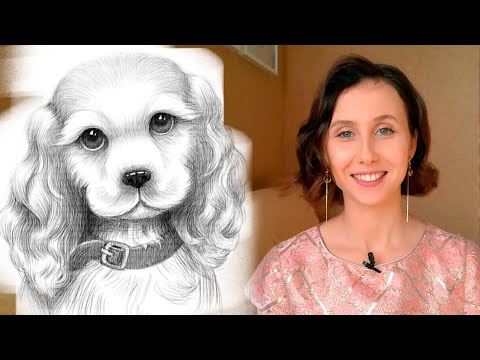 Видео: Как нарисовать собаку карандашом поэтапно для начинающих - Щенок кокер-спаниель