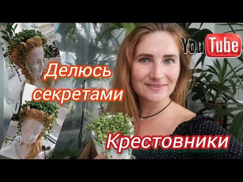 Видео: КРЕСТОВНИКИ! Мои семь секретов ухода!