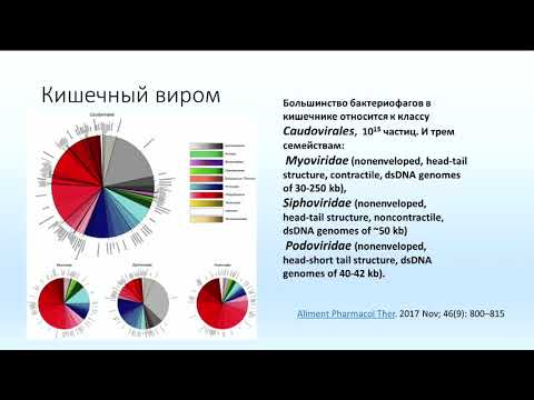 Видео: Кишечный дисбиоз и его микробная коррекция