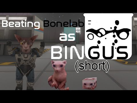 Видео: Я ПЫТАЛСЯ пройти игру Bonelab только за Бингуса (короткометражный вариант)