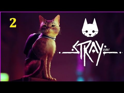 Видео: Прохождения STRAY #2 PS5  без комментариев