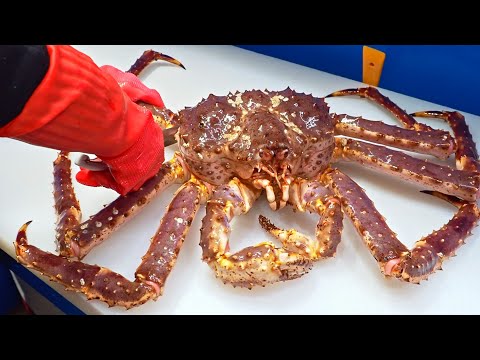 Видео: Удивительно！Мастер резки гигантского королевского краба, Роскошные сашими, Жареный рис с крабами