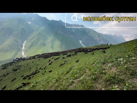 Видео: 8- Қисм гусфандода намак додем  2025 г.