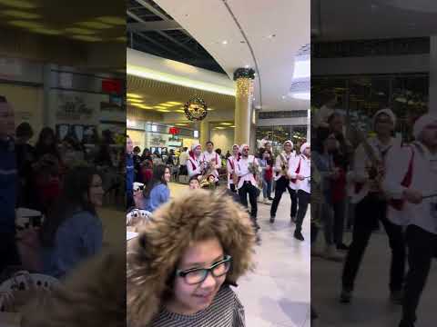 Видео: 29 декабря 2024 г.