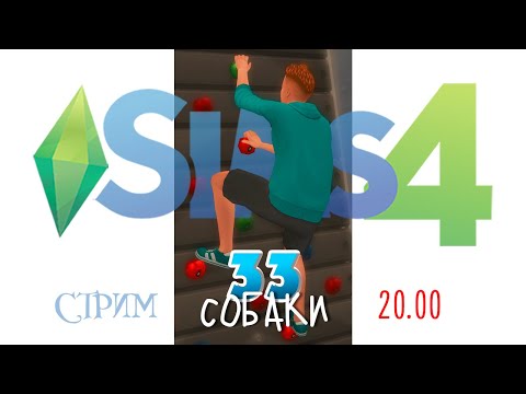 Видео: 33 СОБАКИ: Запись стрима. Ep.16 #sims4