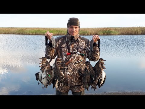 Видео: Охота на чирка с духовым манком 2019!Отличные налеты!!!