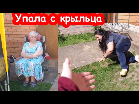 Видео: VLOG Надя упала. Что с котятами не понимаю