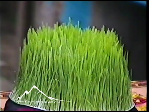 Видео: Наврузи Могиён 2010
