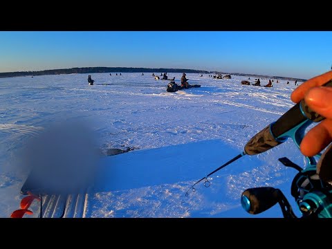 Видео: ЭТО ЖЕСТЬ!! НЕРВЫ ни к ЧЁРТУ!!! ТОННА РЫБЫ под НАМИ! ТОЛПА РЫБАКОВ СИДИТ НА РЫБЕ! МОЩНЫЕ ПОКЛЕВКИ!
