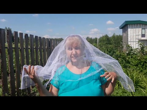 Видео: Торговля На Трассе!!! 
14 июля!