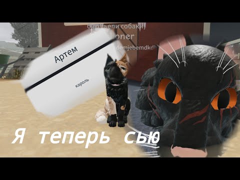 Видео: Притворяюсь сью в КВ 🙄🙄🙄💅💅 //это ппц...