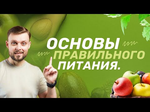 Видео: ОСНОВЫ ПРАВИЛЬНОГО ПИТАНИЯ