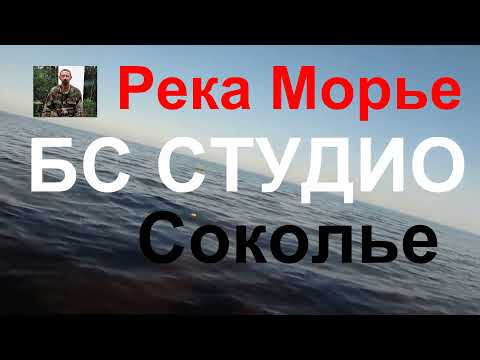 Видео: Река Морье. Рыбалка  16 июня 2021.