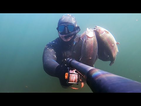 Видео: ОПАСНАЯ ЗОНА⚡: ПОДВОДНАЯ ОХОТА НА ФОРЕЛЬ В ЭКСТРЕМАЛЬНЫХ УСЛОВИЯХ ❄️🌊