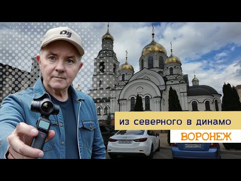 Видео: Из Северного в парк Динамо, через лес 25 10 25г