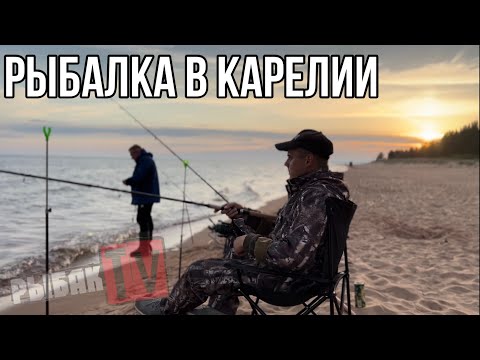 Видео: Рыбалка в Карелии. Рыбалка с ночевкой на Ладожском озере. Уха/плотва/палатки. Видлица.