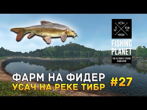 Видео: Fishing Planet #27 - Фарм на фидер. Усач на Реке Тибр