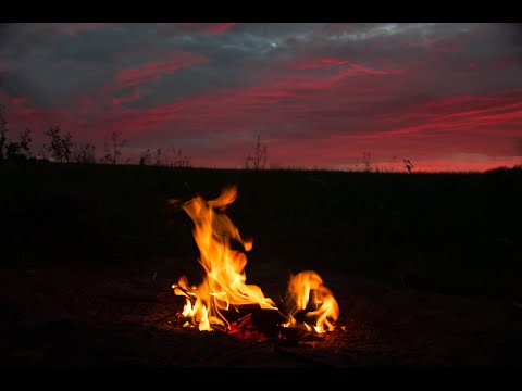 Видео: Часть 3| Сплав| Экспедиция на реку Писса| Калининградская область| Ночь в лесу