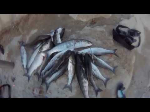 Видео: Заплыв с 4мкр по 7мкр.  22.10.2018г. Подводная охота. Каспийское море Актау.