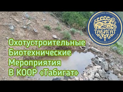 Видео: Охотустройство и биотехнические мероприятия в охотничьих хозяйствах КООР Табигат