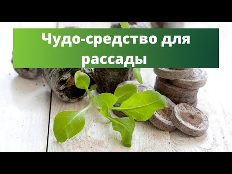 Видео: НОВАЯ ЖИЗНЬ ТОРФЯНЫХ ТАБЛЕТОК. Как использовать торфяные таблетки без ошибок ДЛЯ РАССАДЫ И ЧЕРЕНКОВ