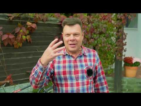Видео: 270-й выпуск "В кольце друзей"