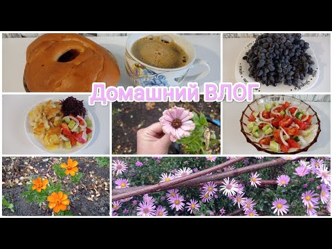 Видео: Домашний ВЛОГ. Осеннее настроение.