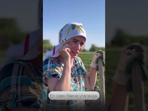 Видео: Сездә дә шундый проблема бармы?) Айназ Габидуллина блогыннан.