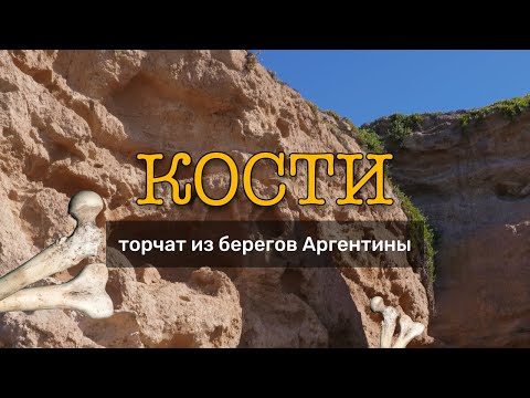 Видео: Из берегов Аргентины торчат кости? Моя интересная находка)