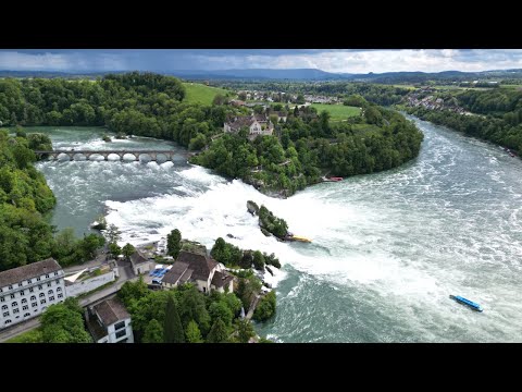 Видео: Невероятное чудо природы: Рейнский водопад 2023