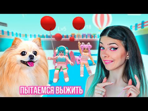 Видео: ВЫБЕРИ ПРАВИЛЬНО ЦВЕТ ЧТОБЫ ВЫЖИТЬ  C  @DogGamer1  в РОБЛОКС ➲ Roblox
