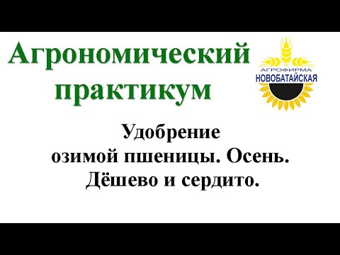 Видео: Удобрение озимой пшеницы. Осень. Дешево и сердито.