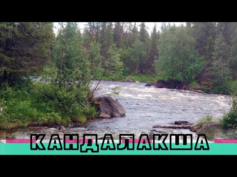 Видео: Ловля форели в горной реке. Кандалакша