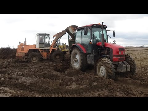 Видео: Тракторы МТЗ 1221,1222 с МТУ-18 буксуют на разбрасывании навоза :)