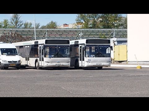 Видео: Автобус №275 АВ Витебск - Старое Село