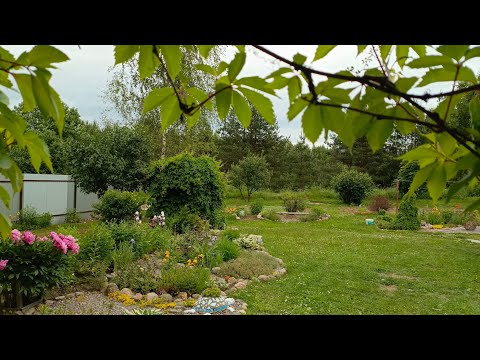 Видео: Прогулка по июньскому саду.