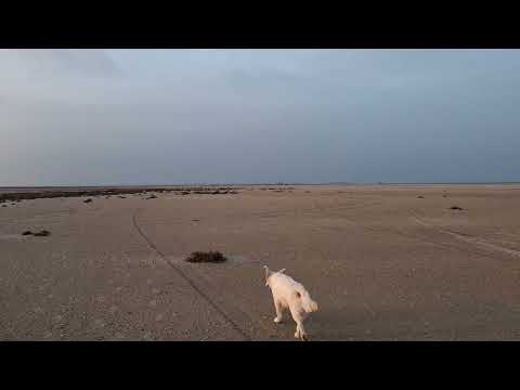 Видео: Школа Деревенского Колдуна.Беседа 27.Перепросмотр.Очищение и Трансформация Прошлого.