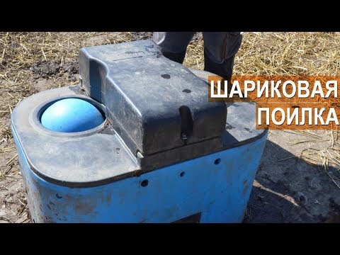 Видео: Шариковая поилка для КРС. Как это работает? Семейная ферма КФХ Герефорд