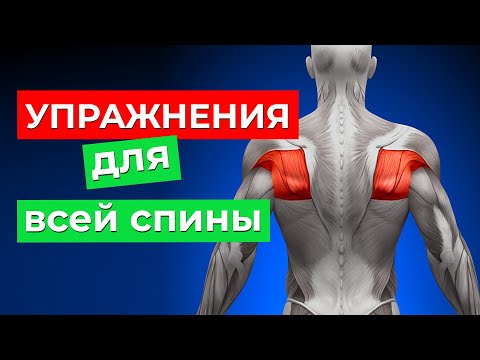 Видео: Упражнения без ПРОТИВОПОКАЗАНИЙ и болтовни! Самые полезные упражнения для здоровья позвоночника