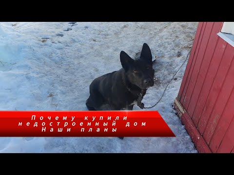 Видео: Покупка дома в деревне, почему купили недостроенный дом. Наши планы. Жизнь в деревне