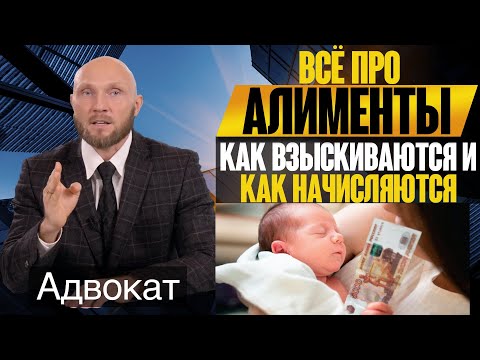 Видео: Взыскание алиментов на несовершеннолетних детей. Подача иска на алименты на ребенка до 18 лет